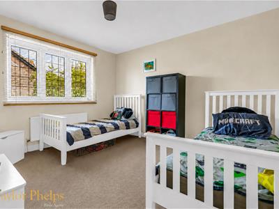Picture 14